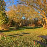 Picnic Area at Kettle Moraine North, Wisconsin