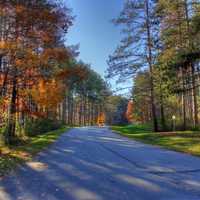 Road in Kettle Moraine at Kettle Moraine North, Wisconsin