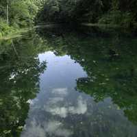 Green clear waters at Paradise Springs