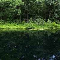 Landscape across paradise springs Pond