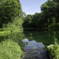 Long View of Pond at Paradise Springs