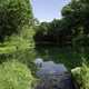 Long View of Pond at Paradise Springs