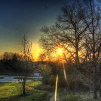 Dusk light through the trees at Kettle Moraine South, Wisconsin