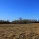 Grasslands landscape at Kettle Moraine South, Wisconsin