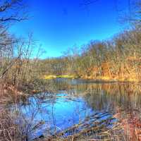 Long view of the swamp at Kettle Moraine South, Wisconsin