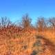 Path to the top at Kettle Moraine South, Wisconsin