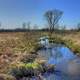 Stream though the landscape at Kettle Moraine South, Wisconsin