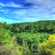 Forest under the skies at Kinnickinnic State Park, Wisconsin