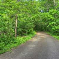 Forested Road at Kinnickinnic State Park, Wisconsin