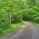 Forested Road at Kinnickinnic State Park, Wisconsin