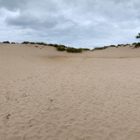 Panoramic of Kohler-Andrae Sand dunes