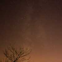 Milky Way above the trees at Kohler-Andrae State Park, Wisconsin