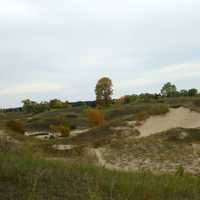 Sand Dune at Kohler-Andrae State Park, Wisconsin