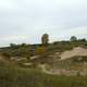 Sand Dune at Kohler-Andrae State Park, Wisconsin