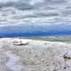 Snow Covered  Shores at Kohler-Andrae State Park, Wisconsin