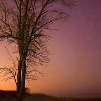 Starlight by the lake at Kohler-Andrae State Park, Wisconsin