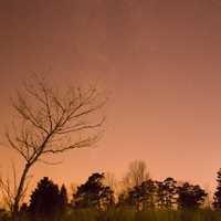 Stars in the sky at Kohler-Andrae State Park, Wisconsin