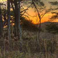 Sunset over the dunes at Kohler-Andrae State Park, Wisconsin