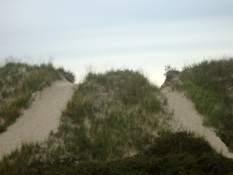 Windswept Dune at Kohler-Andrae State Park, Wisconsin image - Free ...