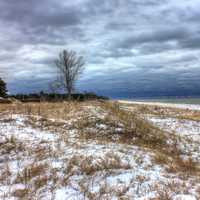 Winter on the dunes at Kohler-Andrae State Park, Wisconsin