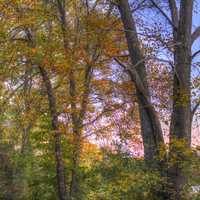 Fall colors at Lake Kegonsa State Park, Wisconsin