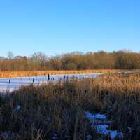 Frozen Landscape at Lake Kegonsa State Park, Wisconsin