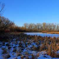 Little Frozen Stream at Lake Kegonsa State Park, Wisconsin