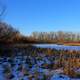 Little Frozen Stream at Lake Kegonsa State Park, Wisconsin