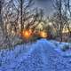 Sunset on the hiking trail at Lake Kegonsa State Park, Wisconsin image ...