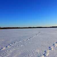 Tracks on the Lake at Lake Kegonsa State Park, Wisconsin