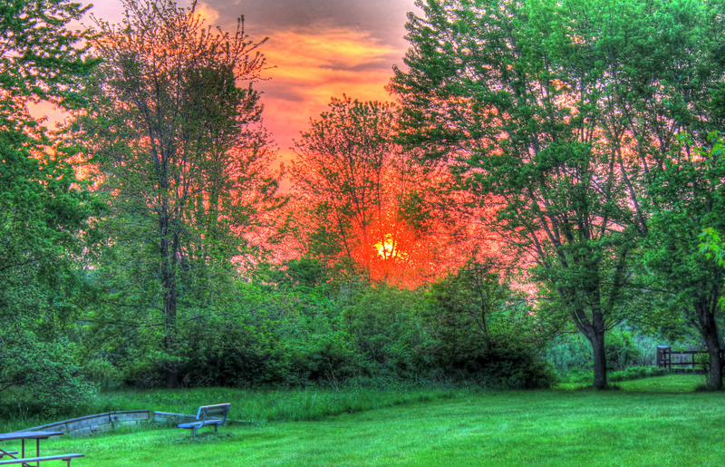 Sunset behind the trees at Lake Kegonsa State Park, Wisconsin image ...