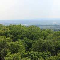Forest and Fields Beyond at Lapham Peak State Park, Wisconsin