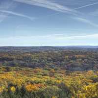 Full View of the forest at Lapham Peak State Park, Wisconsin