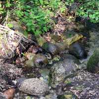 Rocks and stream at Lapham Peak State Park, Wisconsin