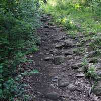 Rocky path at Lapham Peak State Park, Wisconsin