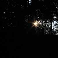 Sun through the trees at Lapham Peak State Park, Wisconsin