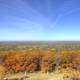 The forest of Kettle Moraine at Lapham Peak State Park, Wisconsin