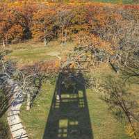 Trees in the shadow at Lapham Peak State Park, Wisconsin