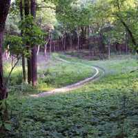 Winding Trail at Lapham Peak State Park, Wisconsin