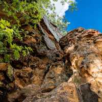 Looking up at the Rocks at Levis Mound