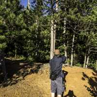 Man taking picture of trees at Levis Mound, Wisconsin