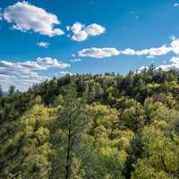 Skies over the forest landscape at Levis Mound, Wisconsin