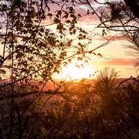 Sunset beyond the trees at Levis Mound