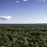 Trees and sky to the Horizon at Levis Mound, Wisconsin