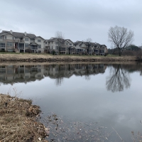 Apartments by the Pond