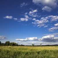 Blue Skies over the Marsh Landscape