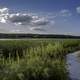 Boardwalk into the Marsh at Cherokee Marsh