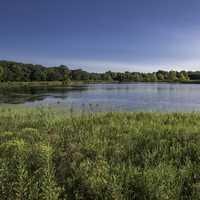 Cherokee Marsh Pond landscape in Yahara Segment
