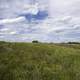 Clouds above the grasses in Middleton, Wisconsin