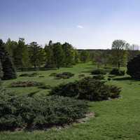 Downhill View in the Wisconsin Arboretum